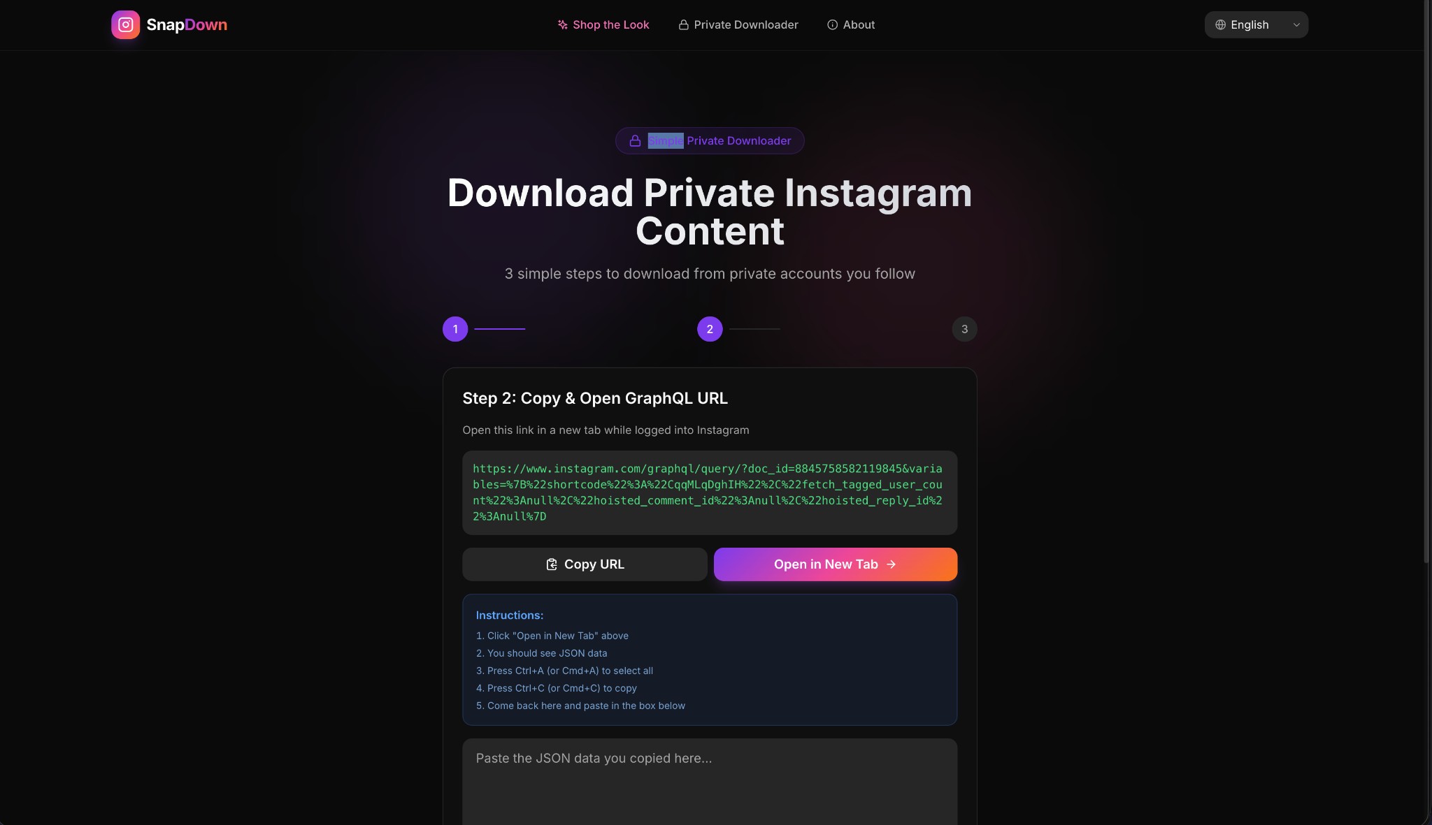 SnapDown Step 2 β GraphQL URL displayed with Copy URL and Open in New Tab buttons