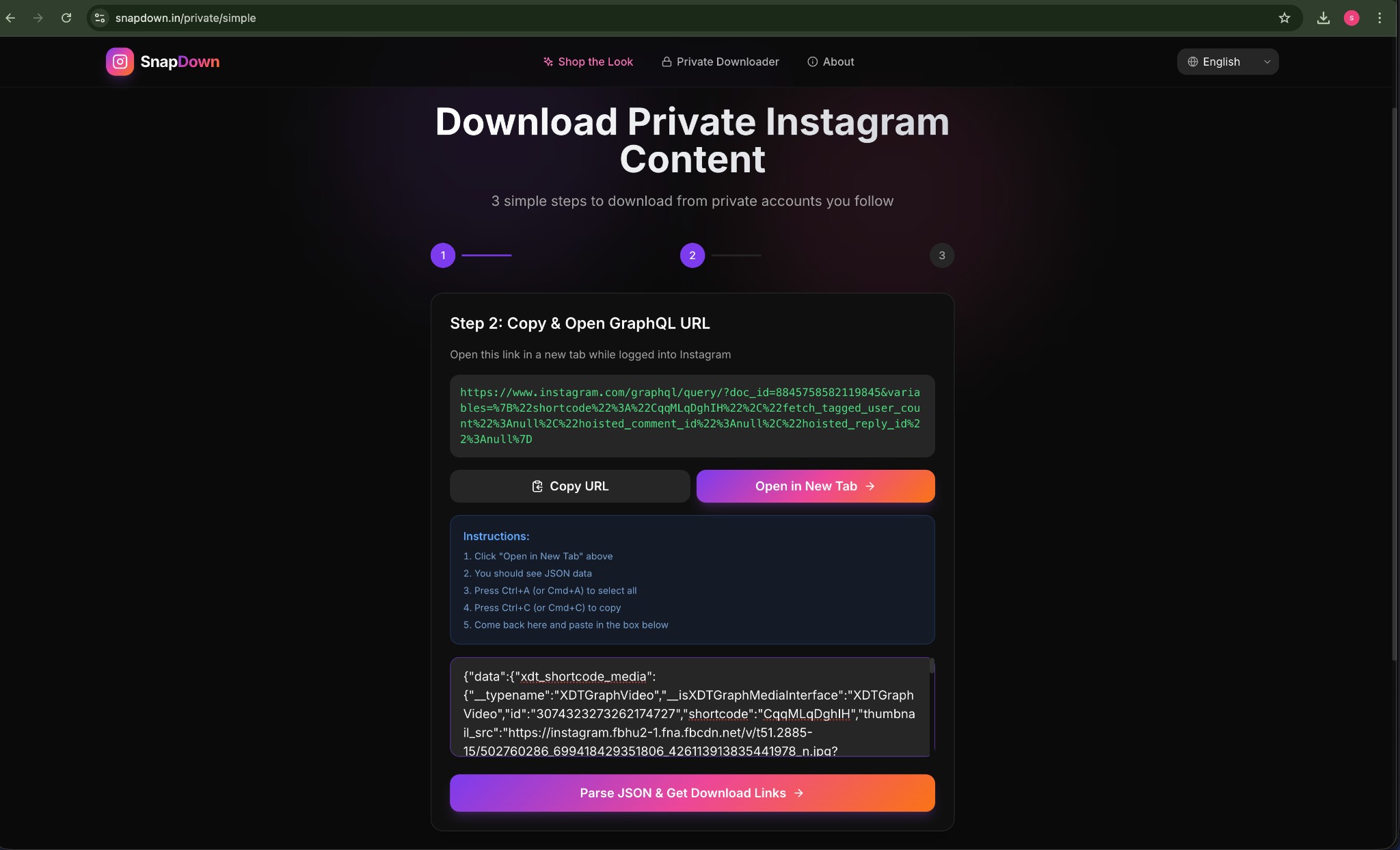 SnapDown Step 2 β JSON data pasted in the textarea with Parse button